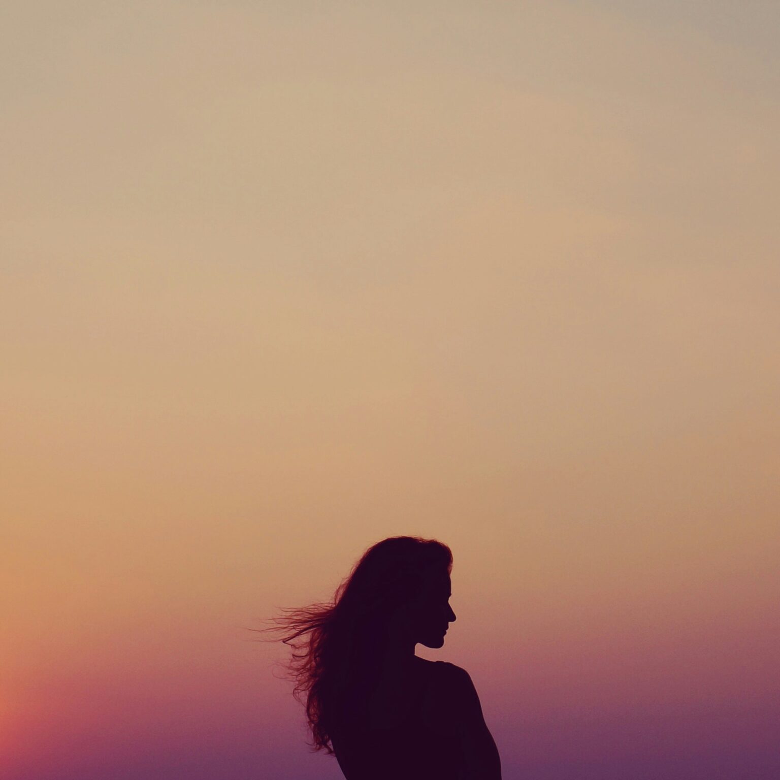 A silhouette of a woman against a sunset sky